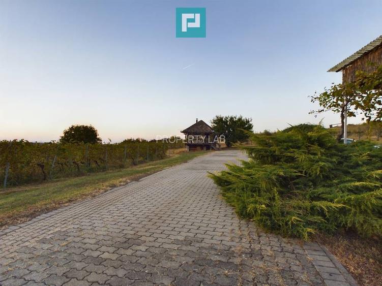 Pivnițele Birăuaș D.O.C Miniș - RATE FĂRĂ DOBÂNDĂ - 41