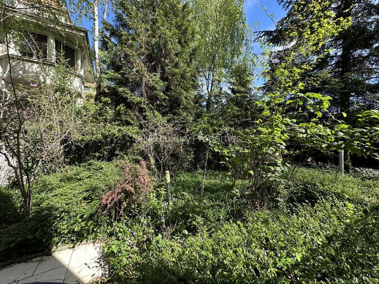 Vila Impozanta Langa Parcul Gradina Icoanei - 26