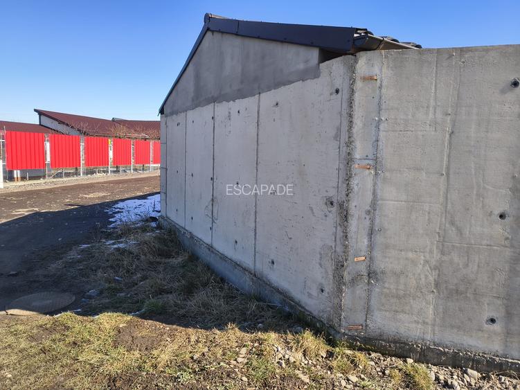 De vanzare 500 mp teren intravilan, Cartier Izvor, Tarlungeni, Brasov - 13