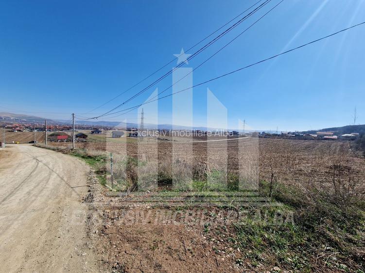 Teren intravilan | 800 mp | 40 ml deschidere | Micesti - 4