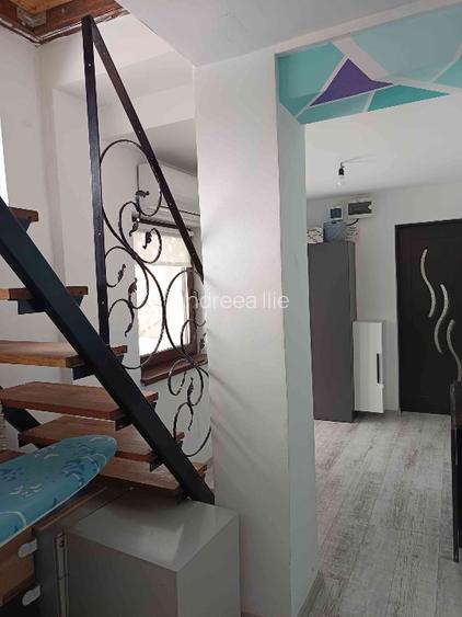 Teren parcelabil, intravilan, 6400mp cu casa renovata - ideal investitor  - 11