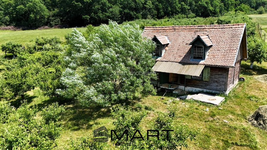 Teren extravilan 5000mp zona Cisnadie - 3