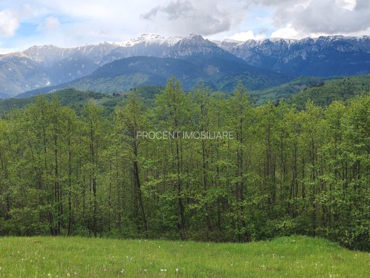 Oportunitate rara! Teren 7.283 mp, investitie garantata - 8