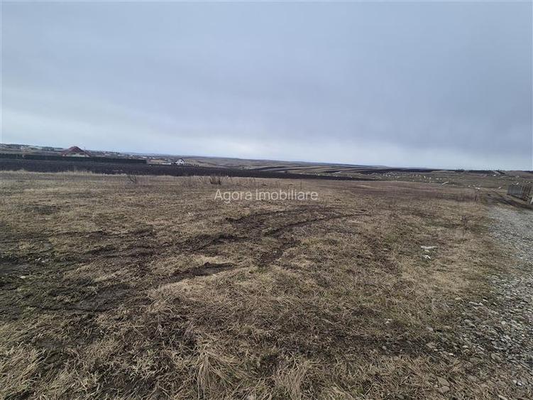 Teren Moara Nica 800 mp - 2