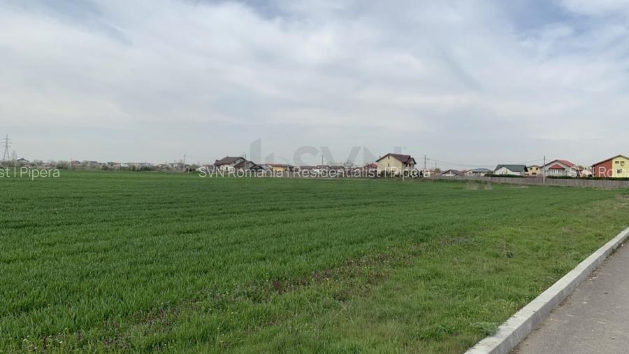 REL4001048 Teren Magurele - 16573 mp - Acces Dublu - Proximitate A0 - 4