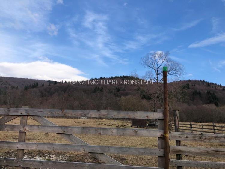 Oportunitate de investitie - 2