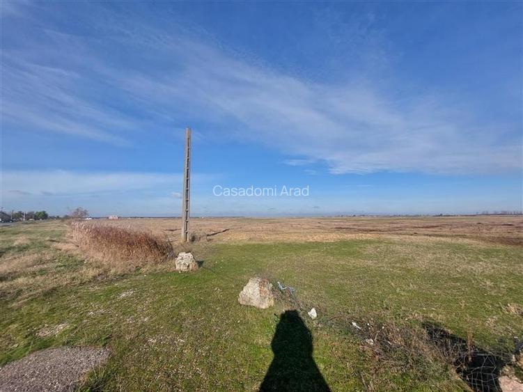 OCAZIE!!! Teren industrial in Chisineu Cris, la doar 20 euro mp! Parcelare la ce - 4