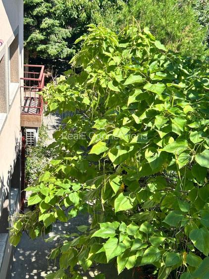 Casă individuală Buftea, 3.162 mp teren, ieșire spre lac - 31