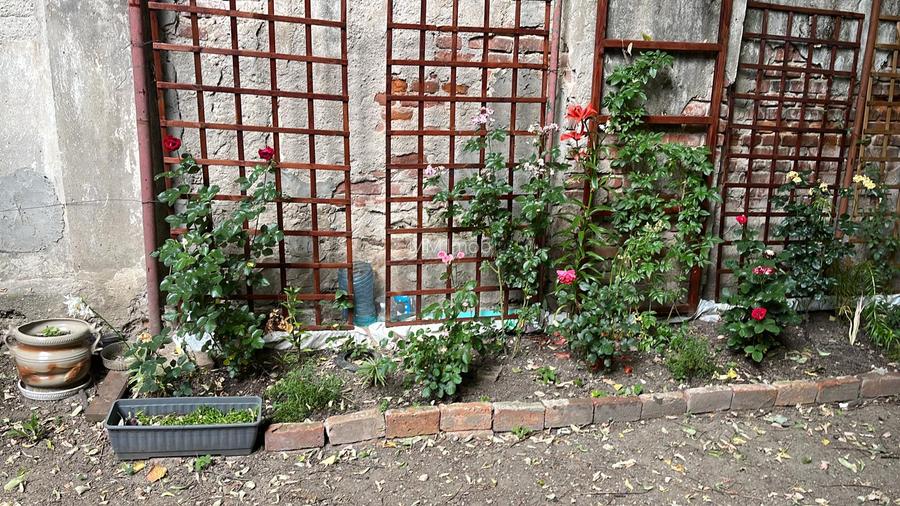 Apartament cu 3 camere/  Piata Victoriei/ Moxa - 12