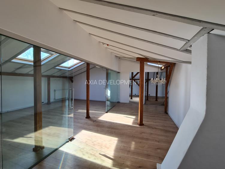 Vila Kiseleff - sediu ambasada, sediu reprezentativ - 17