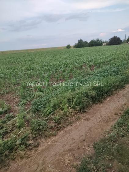 Teren intravilan zona peste linie - 2