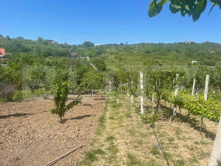 Proprietate cu casa si teren in Oradea - 4