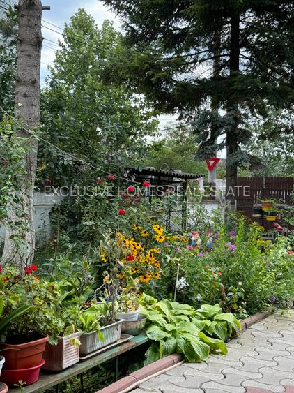 Vanzare vila lacul Baneasa - 15