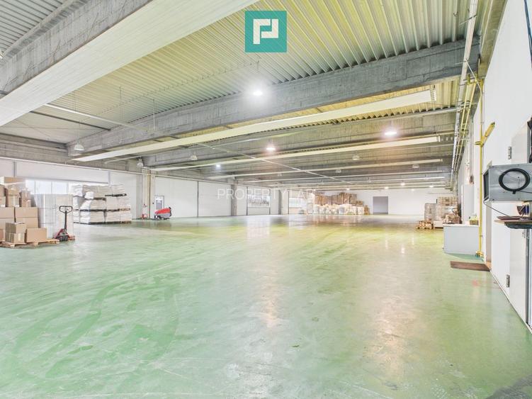 Hală industrială de 4.155 mp Calea Borșului - 8