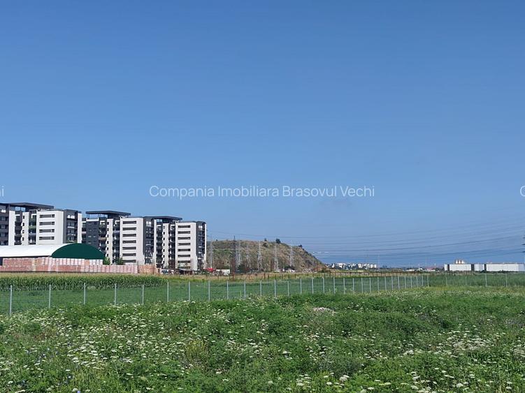 Teren intravilan cu potențial excelent în Triaj, Narciselor, pentru dezvoltatori - 4