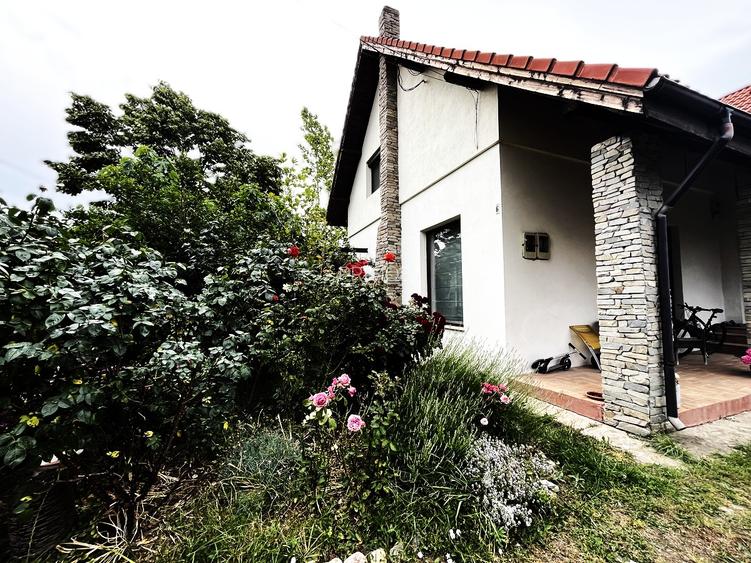 Mogosoaia,Martha Bibescu,rustic/cochet,4 dormitoare,living-semineu,mobilata,lux - 17