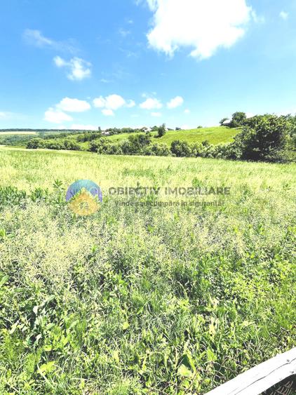 CASA  comuna NEGRESTI - 10