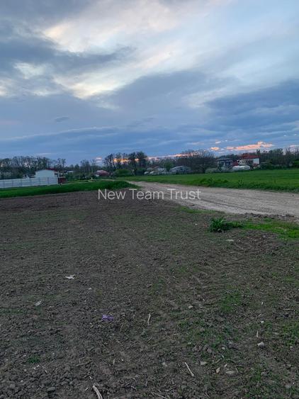 DJ200 Afumati Petrechioaia  Vanzare Teren intravilan -extravilan - 12