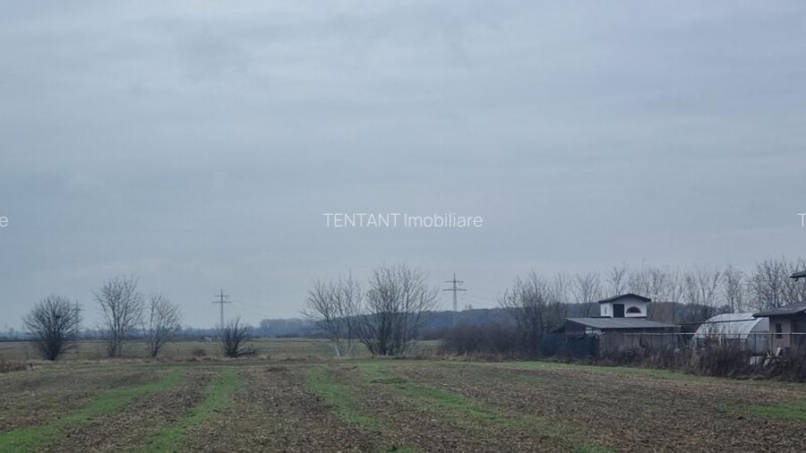 Vanzare Teren construibil 600mp 1 Decembrie Ilfov - 9