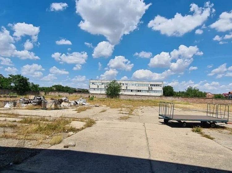 Hala Industriala de inchiriat Sannicolau Mic Arad - 5