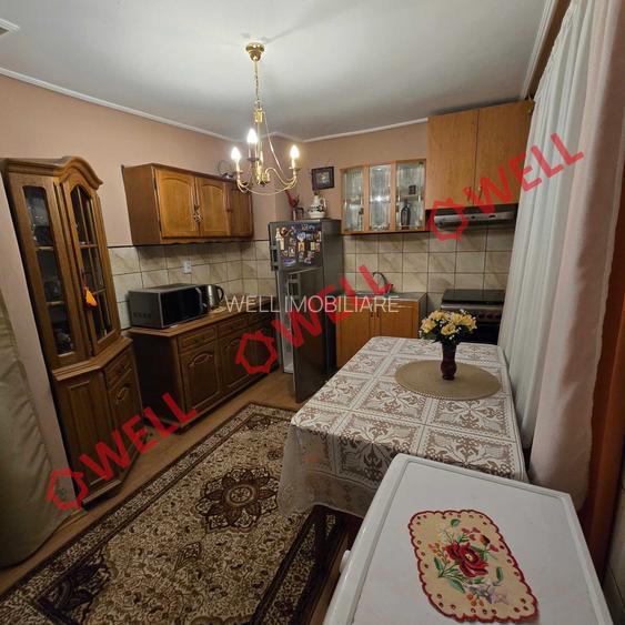 Casă familiară de vânzare în Bixad! - 13