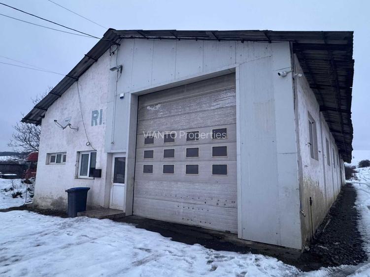 HALA| 3 SPATII INDUSTRIALE| ZONA CRISTIAN - 3