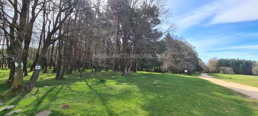 TEREN AGRICOL EXTRAVILAN - RECI - COVASNA - 9