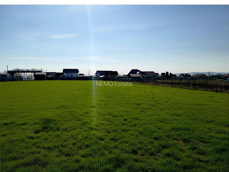 Teren Intravilan Salcea | 72.000 MP | Parcelabil | Investiție Majoră - 4