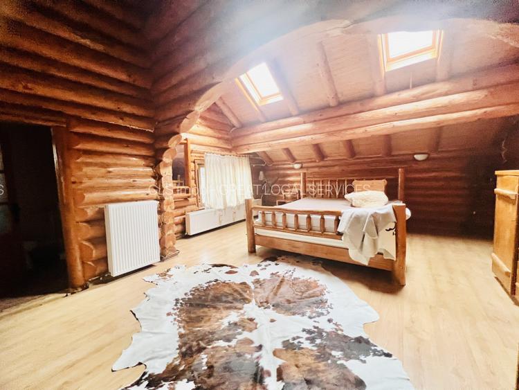 Cabana vânătorească din lemn cu vedere spectaculoasa, langa Castelul Cantacuzino - 20