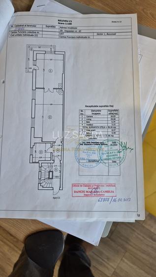 Vanzare - Proprietate cu Potential-Locuinta si Business - 43