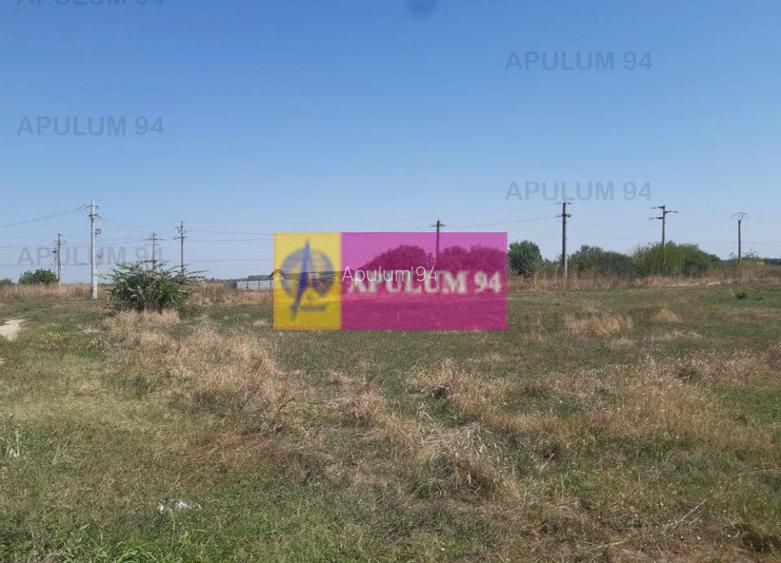 Teren pentru investitie langa Bucuresti - 2