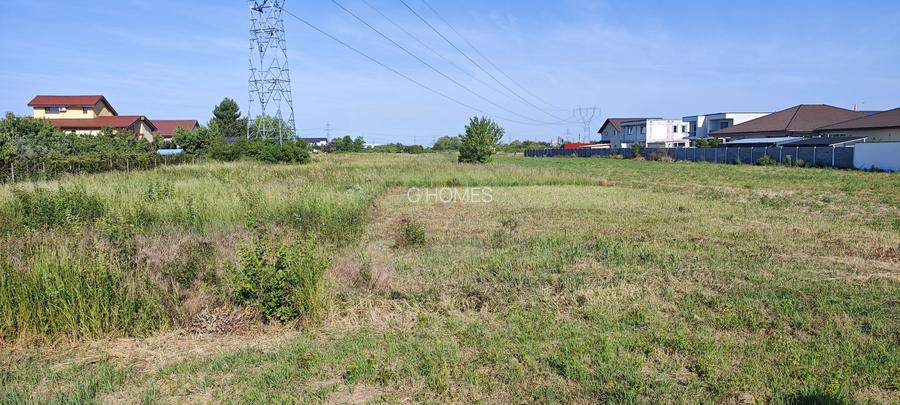 5000 mp teren parcelabil la strada asfaltata, APROAPE DE KAUFLAND. - 11
