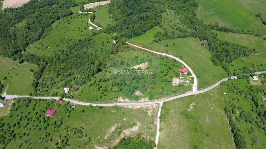 Teren intravilan de vanzare 55 600 mp Codru Butesii - 19