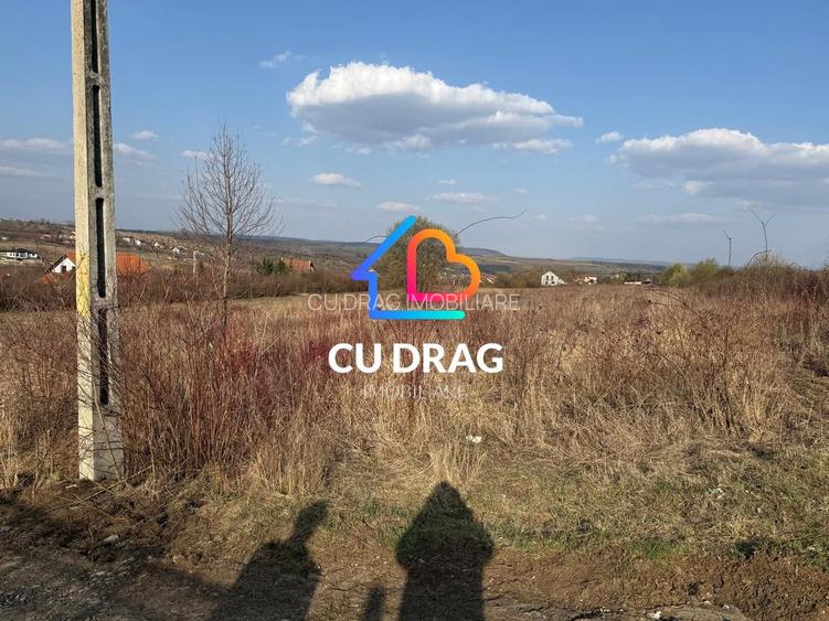 Teren intravilan cu toate utilitatile si drum amenajat Daia - 4