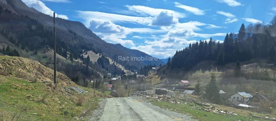 Casa Vacanta Rucar Saticu de Jos Arges - 32