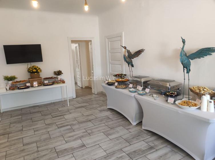 De închiriat vilă deosebită – ideală pentru activități comerciale - 13