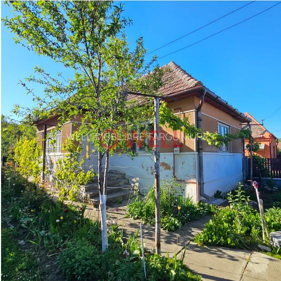 DE VÂNZARE CASĂ ÎN CRAIEȘTI, JUDEȚUL MUREȘ - 2