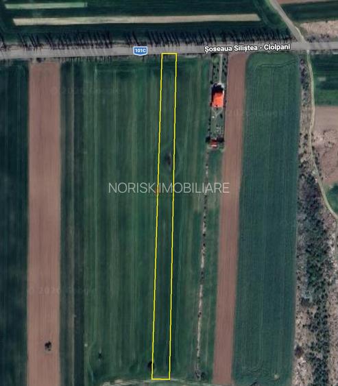 Teren extravilan | Siliștea Snagovului | 8500mp | Stradal - 2