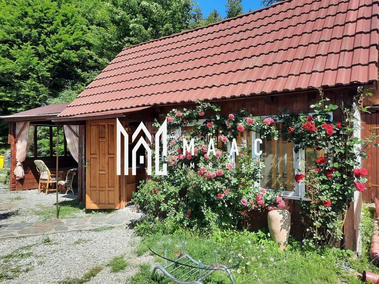 Pensiune de vânzare I Transfăgărășan, Cărțișoara, jud. Sibiu - 15