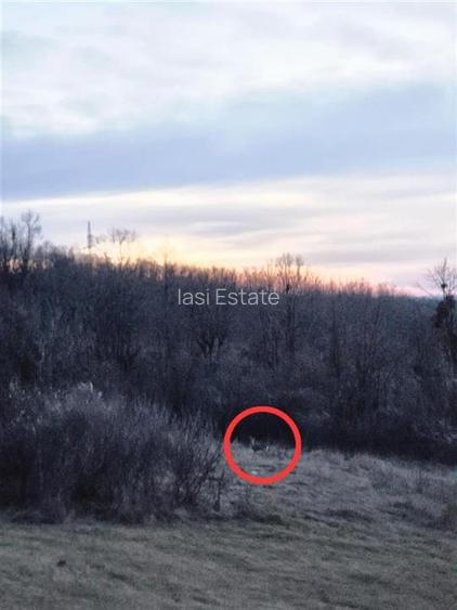 Teren cu vedere frumoasa - 5