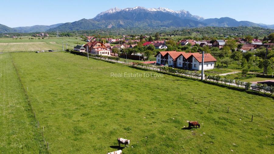 Teren plat P +4 Bran, panoramic munti, DN73, toate utilitatile - 3