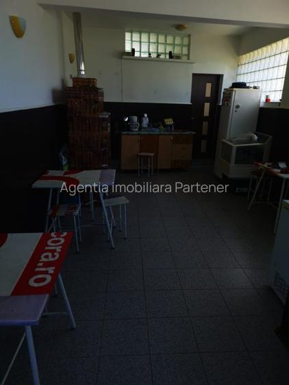 Imobil Mosoaia - Hintesti, 14 camere, teren 1.382mp - 23