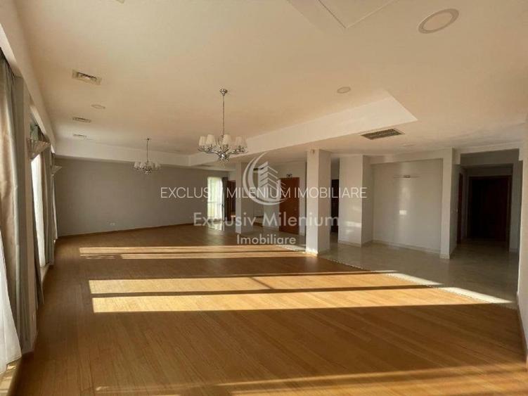 Herastrau / Sat Francez 4 camere Nemobilat +Terasa Madgearu - 7