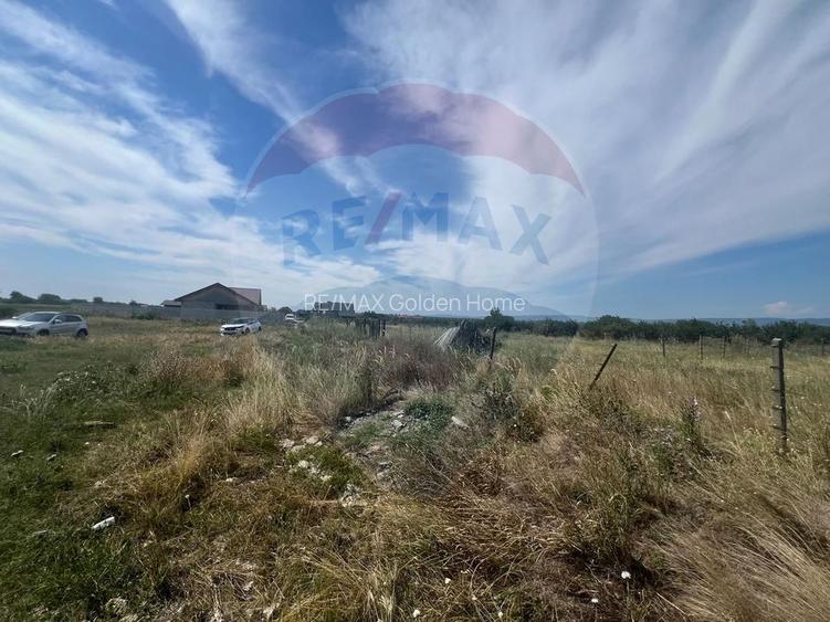 Teren intravilan Golesti / Aleea Lacramioarei - 3