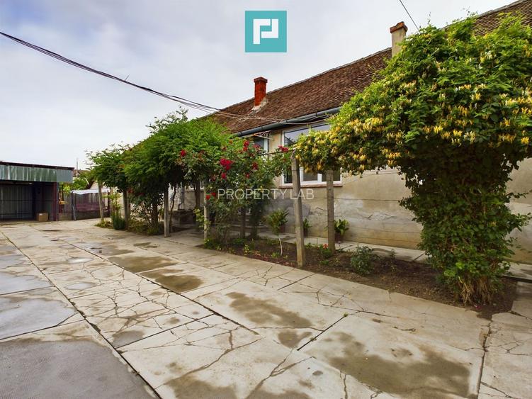 Casă ideală pentru o familie numeroasă, Sântana - 2