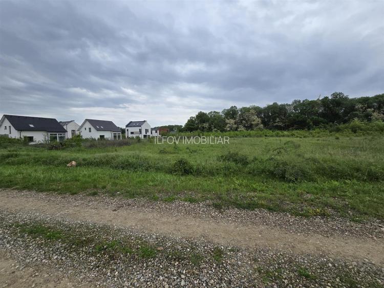 Teren intravilan Balotesti 9782mp 96ml deschidere langa padure - 3