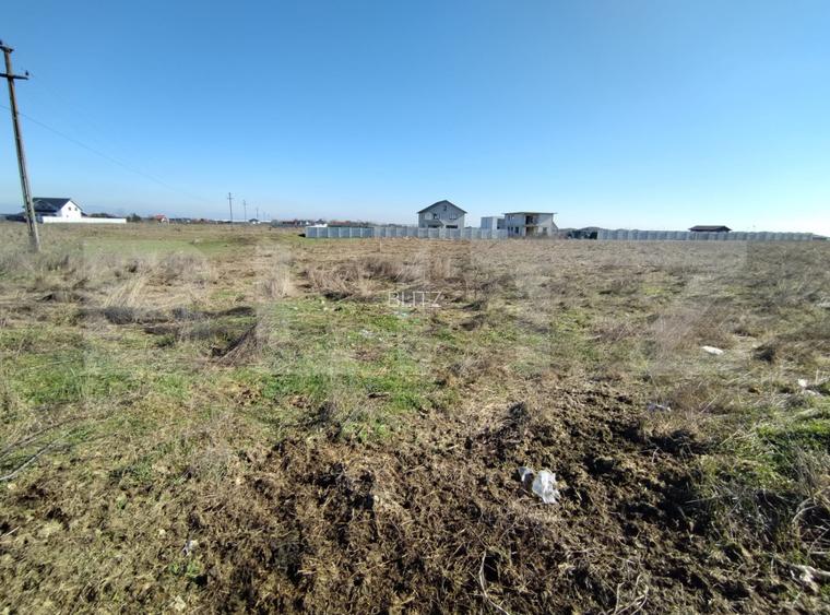 Lot 5 parcele intravilan, Metro, 7439 mp, acces la utilitati - 6