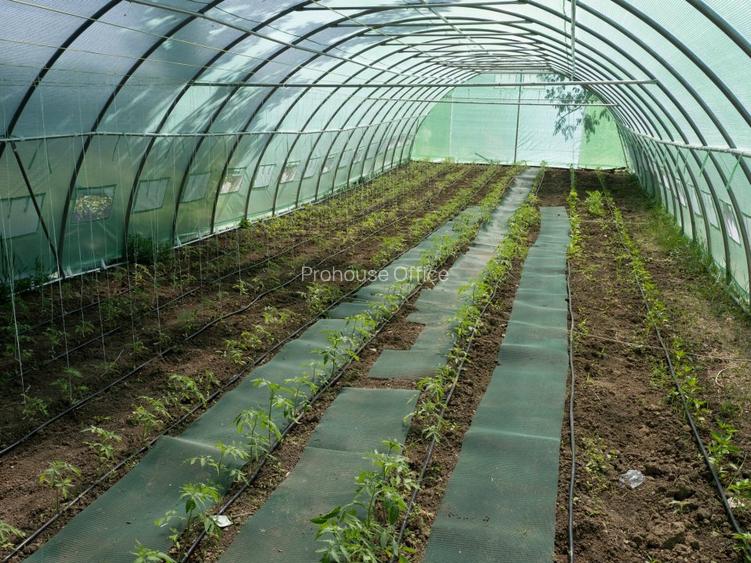 VANZARE DOMENIU CU DESCHIDERE  LA LACUL SNAGOV - 5