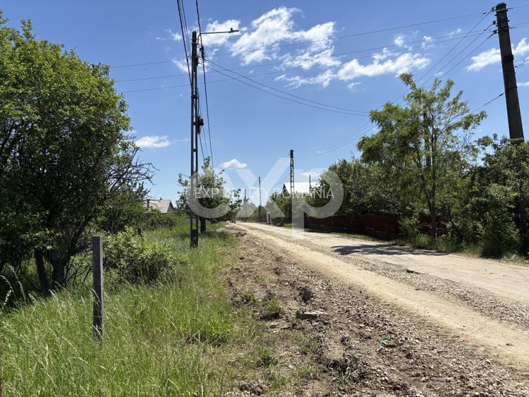 Teren 2.200 mp lângă pădure, la 11 km de Pitești – ideal pentru casă și relaxare - 6