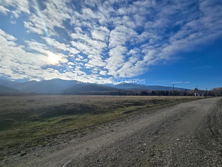 Teren de vanzare in satul de vacanta Dejani - 4